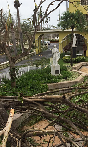 CSJ post Maria