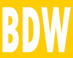 BDW Gold 250 x 200 Board Development Workship