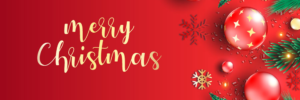 MerryChristmas2Dec21